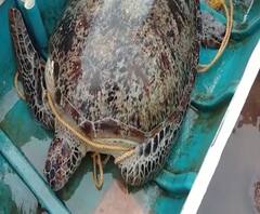 Top 100 | देशभरातील महत्वाचे शंभर अपडेट्स एका क्लिकवर