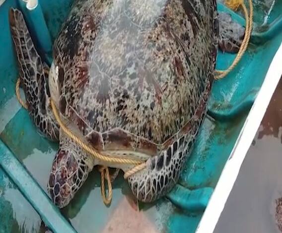 Top 100 | देशभरातील महत्वाचे शंभर अपडेट्स एका क्लिकवर