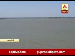 અમરેલીઃ ધોધમાર વરસાદને પગલે સુરવો ડેમમાં આવ્યા નવા નીર, જુઓ વીડિયો 