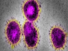 Now IAS officers to play the role of doctors as well | Namaste Bharat (11.06.2020)