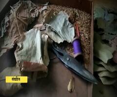 Solapur प्रशासनाकडून विडी उद्योगाला परवानगी मात्र काही अटींवरच! घरपोच,माल घरपोच करणं अशक्य-कारखानदार