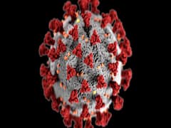 Mumbai: Dharavi reports no new death due to COVID-19