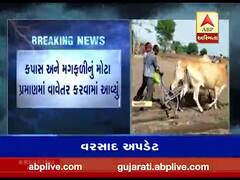 રાજકોટ જિલ્લામાં ખેડૂતોએ શરૂ કરી વાવણી, જુઓ વીડિયો