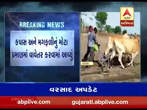 રાજકોટ જિલ્લામાં ખેડૂતોએ શરૂ કરી વાવણી, જુઓ વીડિયો
