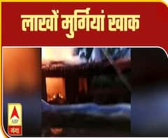 Purab Pashchim: मुर्गी फार्म में लगी आग, लाखों मुर्गियां जलकर खाक | ABP Ganga 