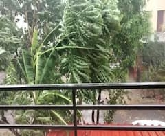 Kolhapur Heavy Rain | कोल्हापुरात मुसळधार, पेरणीसाठी दिलासा पण पिकांचं नुकसान, वीज पुरवठा खंडीत