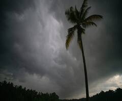 Monsoon Update देशात जुलैमध्ये सरासरीच्या 103% तर ऑगस्टमध्ये 97% पाऊस पडणार - IMD हवामान विभाग 