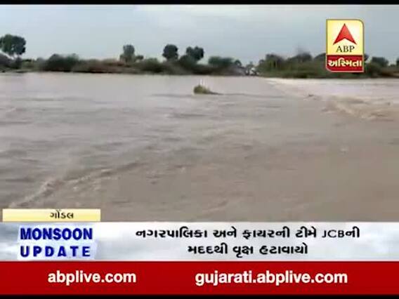 રાજકોટઃ ગોંડલમાં ભારે વરસાદ, વોરકોટડા નદીમાં ઘોડાપુર