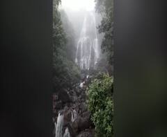 Amboli Waterfalls | मान्सूनच्या दमदार हजेरीनंतर आंबोली घाटातले धबधबे प्रवाहित, कोरोनामुळे पर्यटकांची पाठ