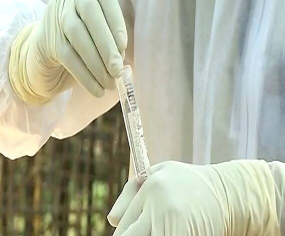 Shekhar Mande | दोन ते तीन महिन्यात कोरोना संसर्गावर औषधं येतील; CSRI महासंचालक शेखर मांडे यांची माहिती 