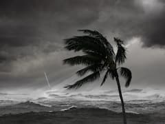 Nisarga Cyclone: मुंबई के सायन में आंधी-तूफान के साथ बारिश भी शुरू | Ground Report