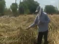 રાજકોટ: વરસાદના કારણે તલના તૈયાર પાકને મોટું નુકસાન, જુઓ વીડિયો