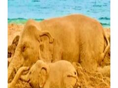 गर्भवती हथिनी की मौत पर Maneka Gandhi और Smriti Irani ने Rahul Gandhi को घेरा | Special Bulletin