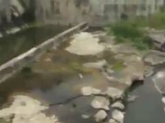 અમરેલીમાં સારા વરસાદથી જિલ્લાના 10 ડેમમાં આવ્યા નવા નીર, જુઓ વીડિયો