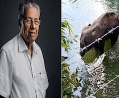চরম নৃশংসতা! কেরলে হাতি হত্যায় কী পদক্ষেপ সরকারের? কী বললেন পিনারাই বিজয়ন? 