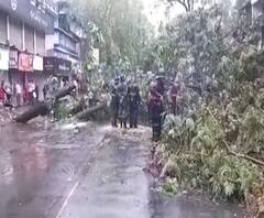 ठाण्यात गोखले रस्त्यावर झाडं उन्मळून पडली; देवधर रुग्णालयाजवळचा रस्ता बंद