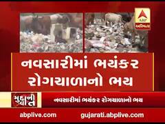 નવસારીમાં ભયંકર રોગચાળાનો ભય, ખુલ્લામાં ઠાલવવામાં આવે છે કચરો