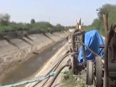 પાટણઃસરકારની જાહેરાત છતાં પાટણ જિલ્લાની કેનાલમાં નથી છોડાયું પાણી, જુઓ વીડિયો 