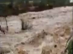 ભારે વરસાદના કારણે કચ્છના મોટી ખાખર ગામની નદીમાં ઘોડાપૂર, જુઓ વીડિયો