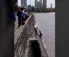 Police Hero | समुद्रात बुडणाऱ्या व्यक्तीला दोन पोलिसांनी वाचवलं, सर्वांकडून मुंबई पोलिसांचं कौतुक!