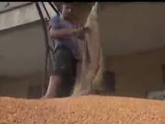 અરવલ્લીઃ ટેકાના ભાવે ખરીદવામાં આવતા ચણાનાં જથ્થામાં ઘટાડો કરતા ખેડૂતોમાં રોષ