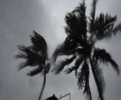 উমপুন: ১৭ দিন পরেও অন্ধকারে গ্রাম, পূর্ব মেদিনীপুরের মহিষাদলের গ্রামবাসীরা নিজেরাই নামলেন কাজে 