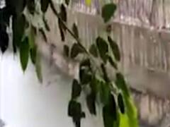 સુરતઃ વરાછા, કાપોદ્રા, પુણા, મોટા વરાછા, ઉધના, લિંબાયત સહિતના અનેક વિસ્તારોમા વરસાદ