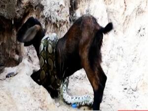 Will China face defeat in its own 'mind game'? | Ghanti Bajao