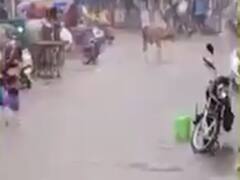 કચ્છના રાપર અને વાગડ સહિતના વિસ્તારોમાં વરસાદ, જુઓ વીડિયો 