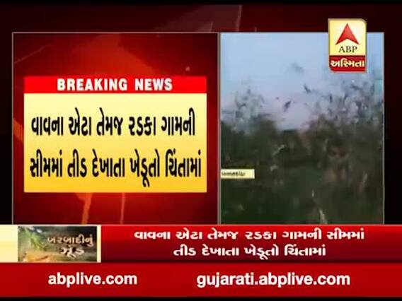 બનાસકાંઠાઃ વાવમાં તીડનું ઝૂંડ દેખાતા ખેડૂતો ચિંતામાં મુકાયા, જુઓ વીડિયો