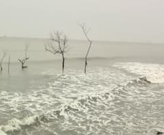 Cyclone Nisarga | पालघरमध्ये मुसळधार पावसाला सुरुवात; सातपाटी किनारी जोरदार लाटा