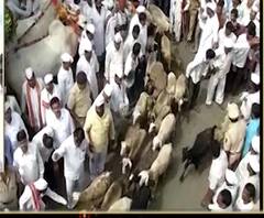 माझा विठ्ठल माझी वारी! कसं असतं काटेवाडीतलं मेंढ्यांचं रिंगण? कशी होते रिंगणाची तयारी?