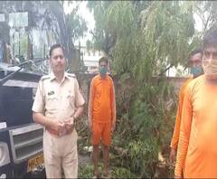 Cyclone Nisarga Effect | रायगडमध्ये NDRF कडून झाडं हटवण्याचं काम सुरु