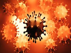 Corona: एक हफ्ते के लिए Rajasthan का बॉर्डर सील, सिर्फ Pass वालों को ही मिलेगी एंट्री 