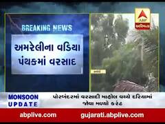 અમરેલીના વડિયા પંથકમાં વરસાદ, જુઓ વીડિયો 