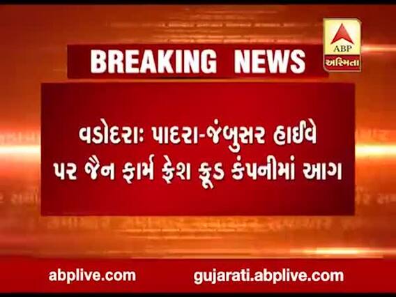 વડોદરા: પાદરા-જંબુસર હાઈવે પર જૈન ફાર્મ ફ્રેશ ફૂડ કંપનીમાં આગ, જુઓ વીડિયો 