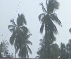 Monsoon Forecast | मान्सूनने संपूर्ण महाराष्ट्र व्यापला; हवामान खात्याची माहिती