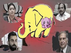 Elephant death in Kerala: Outrage pours in on social media