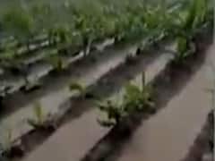 સૌરાષ્ટ્રમાં ધોધમાર વરસાદઃ 28 તાલુકામાં અઢી ઇંચ સુધીનો વરસાદ, જુઓ વીડિયો