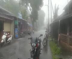 Cyclone Nisarga | सिंधुदुर्गात अनेक ठिकाणी वृक्ष कोसळून वीजपुरवठा खंडीत