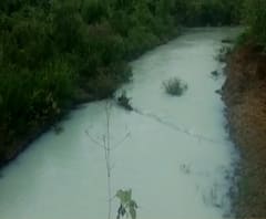 Rural News | संगमेश्वरमध्ये आरवली नदीपात्रात रसायन सोडल्याने पाणी दूषित | माझं गाव माझा जिल्हा 