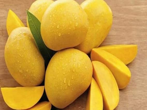 Mango News : Corona के कारण आम की बिक्री में आई गिरावट...खराब हो रहा रखा हुआ Stock