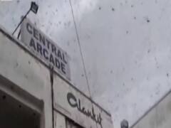 Delhi: टिड्डियों के हमले को देखते हुए इमरजेंसी बैठक,एडवाइजरी जारी करेगी सरकार