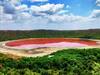 Lonar Lake : Maharashtra की Lonar झील ने रातोंरात बदल लिया रंग.. क्या है इस Mystery Lake की सच्चाई?