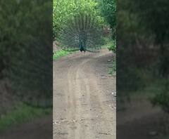 Monsoon Update | माझं गाव माझा पाऊस | जिल्ह्याजिल्ह्यातील पावसाचे अपडेट एका क्लिकवर