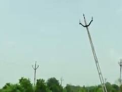 છોટાઉદેપુરઃ નમેલા વીજ થાંભલાથી ખેડૂતો પરેશાન, જુઓ વીડિયો