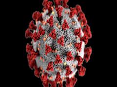 India reports more than 9 thousand new COVID-19 cases in 24 hours