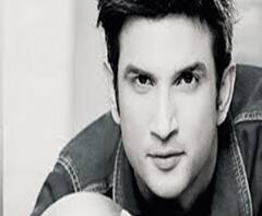 নভেম্বরেই বিয়ের কথা ছিল সুশান্তের, কিন্তু ঝগড়া চলছিল বান্ধবীর সঙ্গে, তাহলে কী...