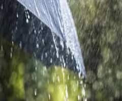 বৃষ্টি আসছে, সঙ্গে ঝড়...কোথায় কোথায়? জেনে নিন