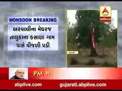 અરવલ્લીના મેઘરજ તાલુકાના કસાણા ગામે ઝાડ પર પડી વીજળી, જુઓ વીડિયો 